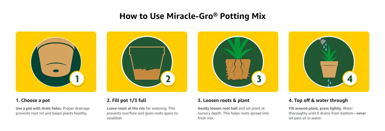 Four illustrated steps showing how to plant with Miracle-Gro Potting Mix.