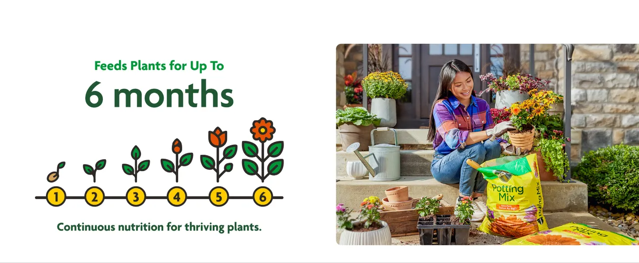 A six-stage flowering-plant timeline beside a gardener holding a flower pot.