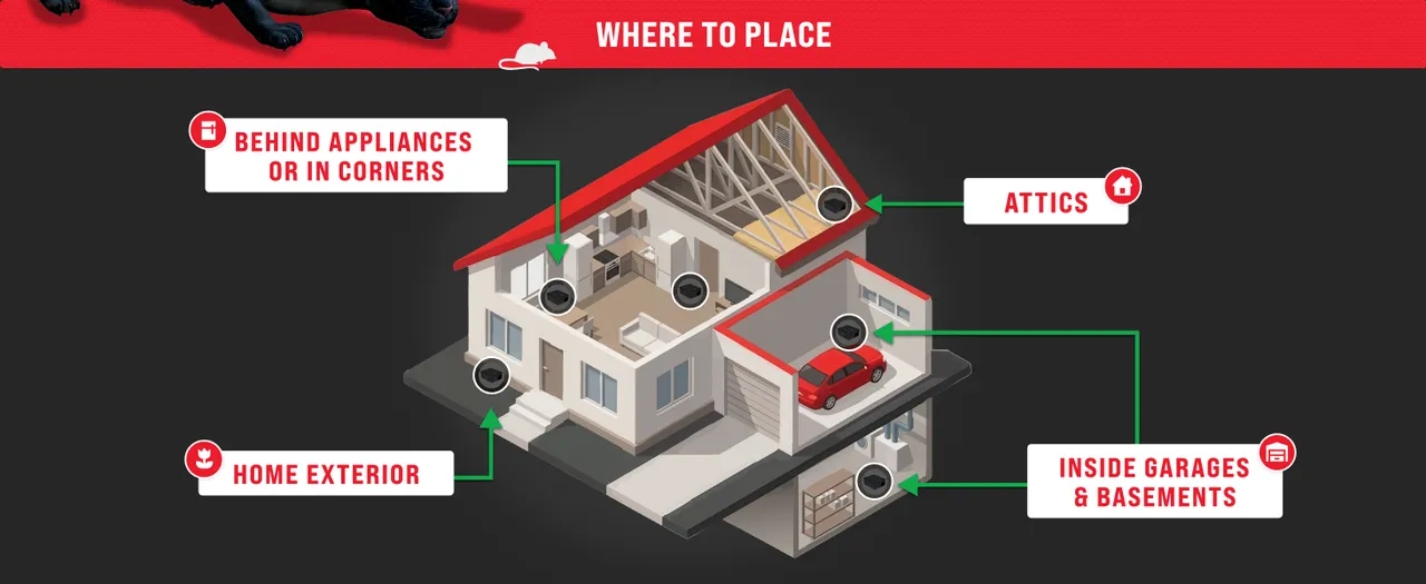 A cutaway house diagram highlighting four Tomcat bait-station placement areas.